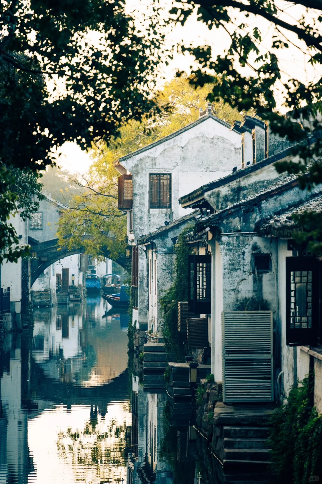 2024-12 苏州D2（周庄、锦溪古镇、甪直古镇）_1_无痕_古镇-来自52tours 我爱旅游网